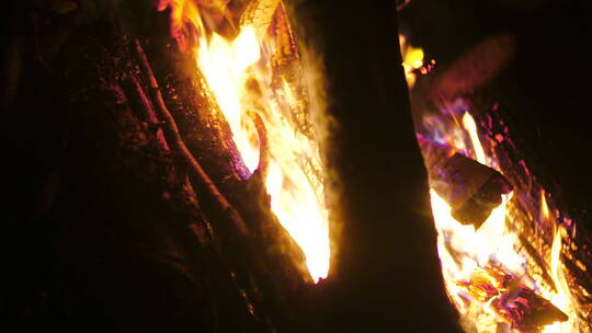 篝火在燃烧视频素材模板下载