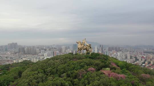 泉州郑成功雕像航拍丰泽区大坪山看市区阴天