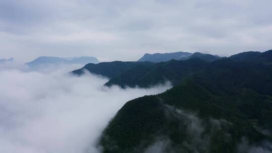 【4K】航拍四川广元曾家山云海云雾