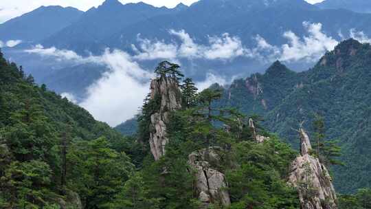 美丽中国河南伏牛山老界岭自然风光