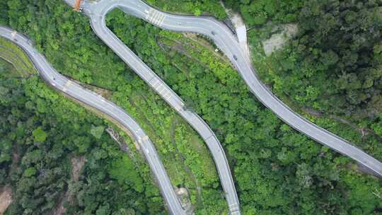 无人机拍摄的蜿蜒道路和绿色森林