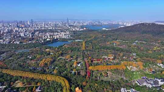 江苏南京灵山风景区前湖秋天秋色航拍