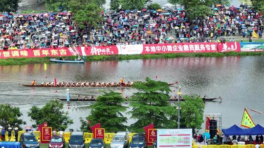 中国江门市鹤山市华侨城古劳水乡赛龙舟