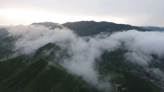 合集德清县莫干山风景区莫邪干将云海竹林视频素材模板下载