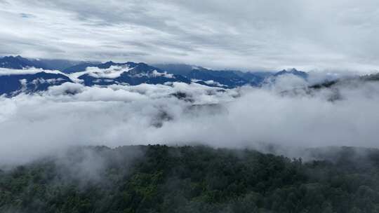川西王岗坪景区航拍云海雪山壮丽风光