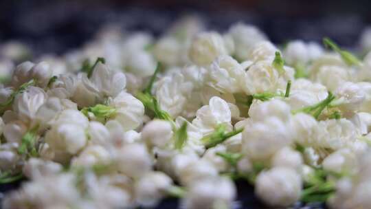 升格慢动作微距特写茉莉花与茉莉花茶制作