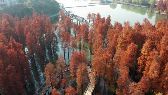 杭州临安青山湖水上森林公园风光航拍