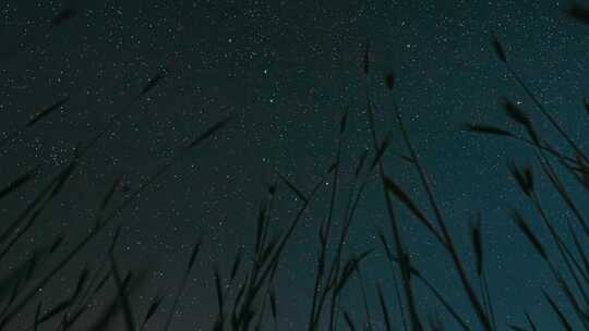 夜晚的星空，闪烁的星星和流星轨迹在夏天的