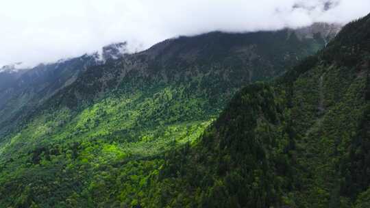 4K航拍川西阿坝州毕棚沟风光美景