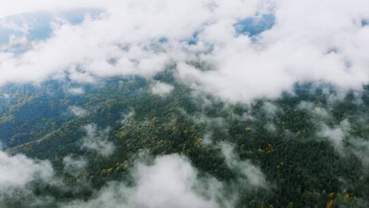 云雾缭绕的山林景观视频素材模板下载