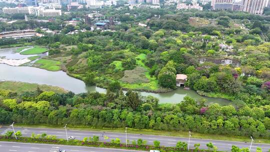 广东深圳华侨城国家湿地公园