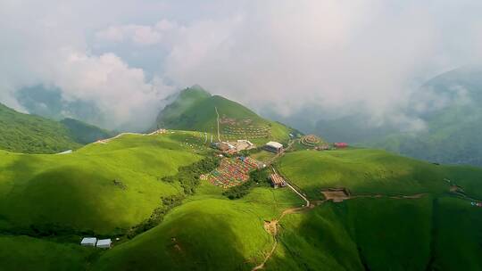 武功山高山草甸