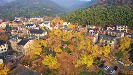 美丽山村 长兴八都芥景区