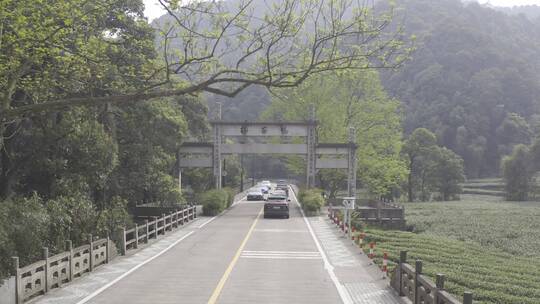 杭州西湖梅家坞茶园茶山