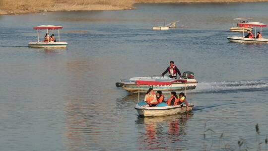 春天生机勃勃的垂柳