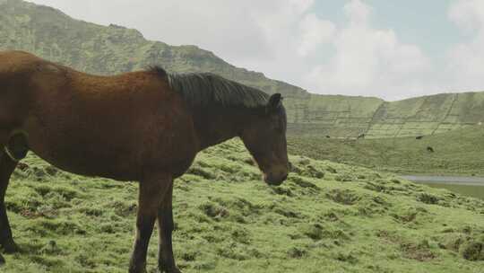 亚速尔群岛，葡萄牙，科尔沃，科尔沃火山岛