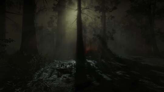 森林中的恐怖场景，神秘的树木，月光，雾中