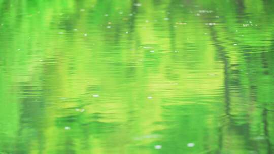 春天春雨落在水面上