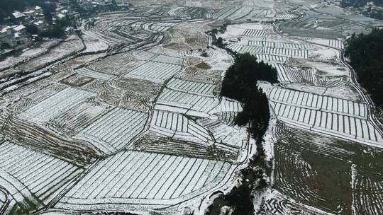 农田乡村冬天雪景4K航拍