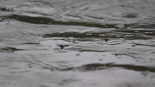 雨天路面视频素材模板下载