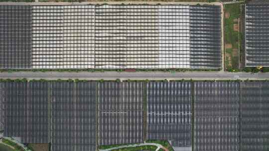 现代农业大棚种植基地航拍