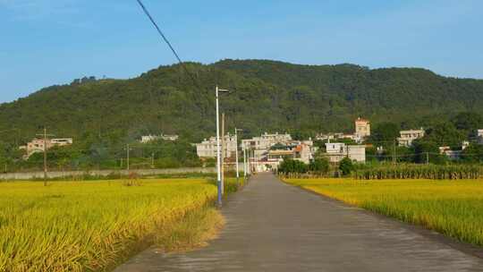 乡村田园风光