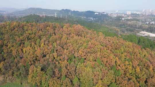 四川德阳罗江区附近山林秋色