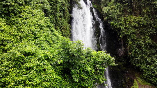 厄瓜多尔巴诺斯，郁郁葱葱的绿叶环绕着瀑布