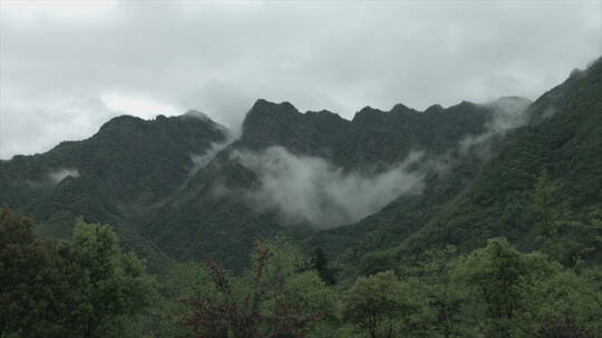 旅游景区 黄山 春季  流动的云雾 人间仙境