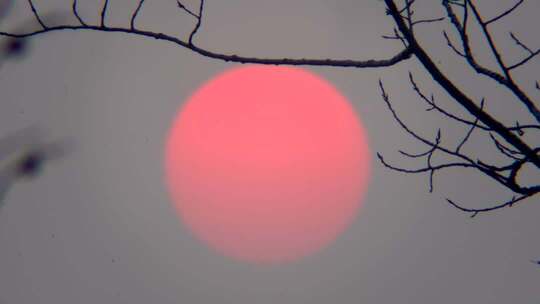 唯美意境落日余晖