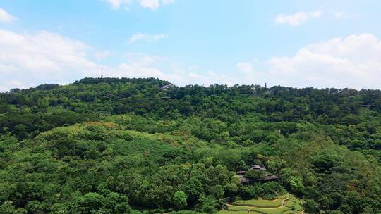 航拍广西南宁青秀山风景区