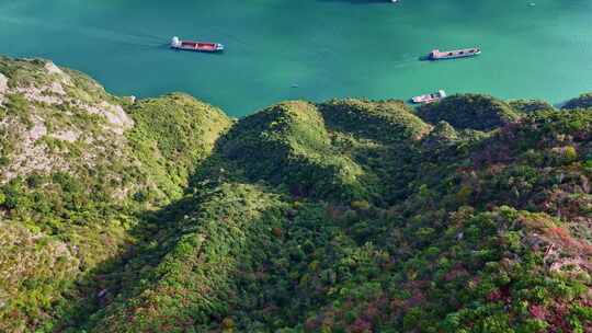 三峡红叶