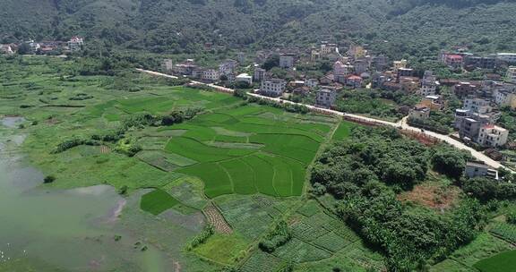 福建 莆田 城厢 常太 岭下 美丽乡村 水库