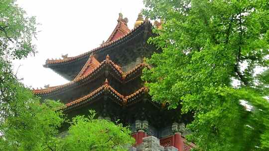 北京夏季下雨中雨水冲刷的故宫皇城角楼红墙