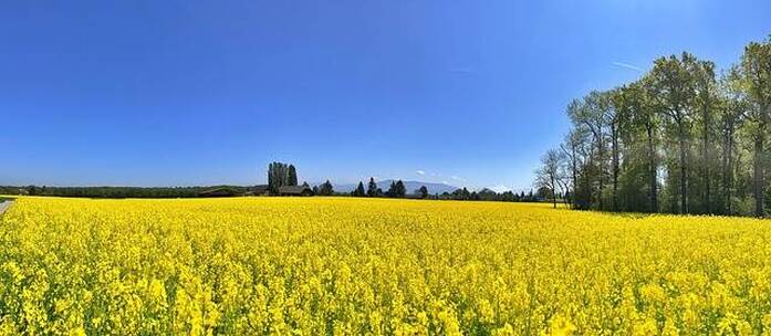 羚羊峡 豪迈 草原之风 短剧 宣传片