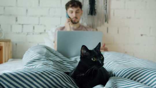 床，人，猫，笔记本电脑