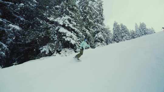 单板滑雪，冬季运动，雪，女人