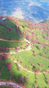 大自然，风景如画的地方，水天一色，风景