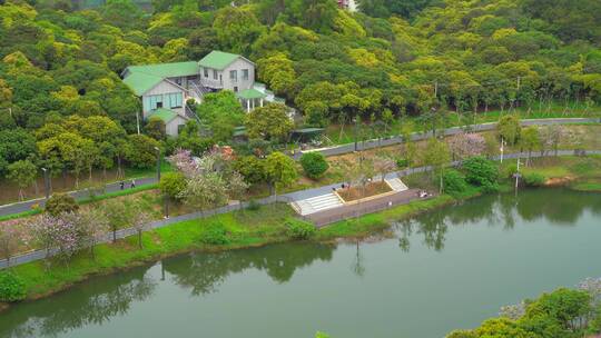 山林树木房子道路游人河水