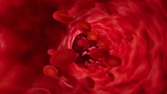 血小板 红细胞 细胞视频素材模板下载