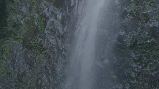 浙江泰顺县乌岩岭山涧流水慢镜头