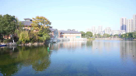 武汉东西湖常青花园中心公园风景