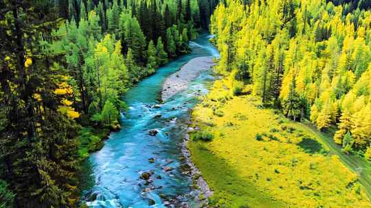 航拍新疆四季自然风景森林河流草原雪山湖泊