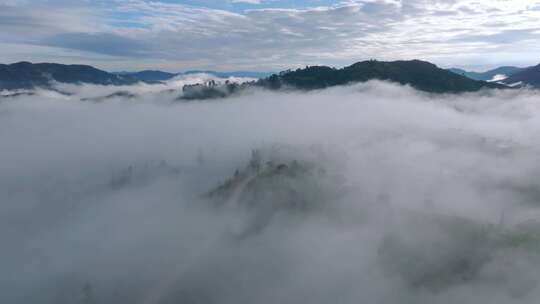 雨雾缭绕的茶山