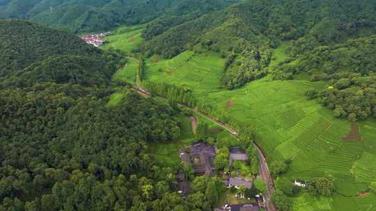 杭州西湖龙井茶园梅家坞清新茶山