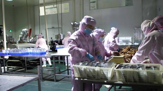 现代化工厂生产卤肉视频素材模板下载