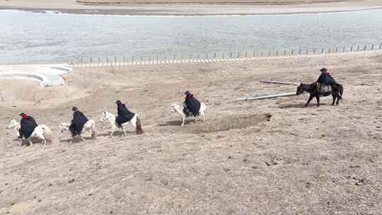 黄河巡护员巡护黄河视频素材模板下载