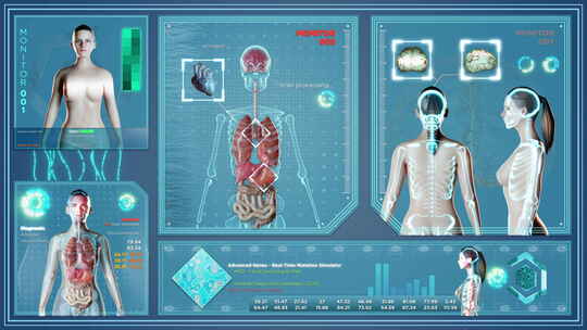 女性身体上的未来X射线。带有3D渲染动画