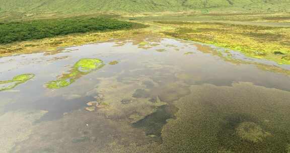 弗洛雷斯岛，亚速尔群岛，无人机，池塘