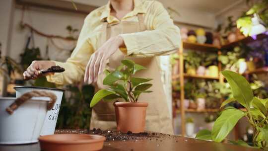 女人，花店，植物园，植物